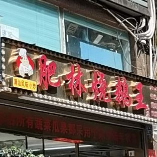 肥林烧鹅王(罗湖店)
