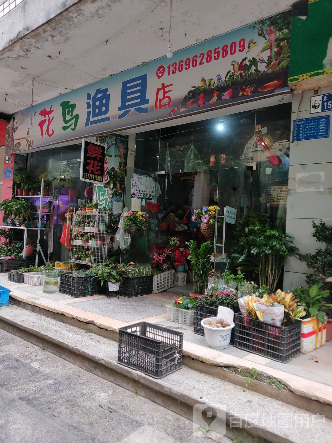 花鸟渔具店