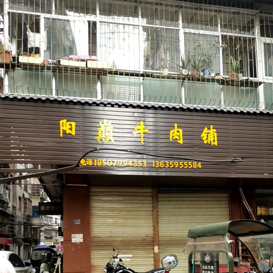 阳癫牛肉脯
