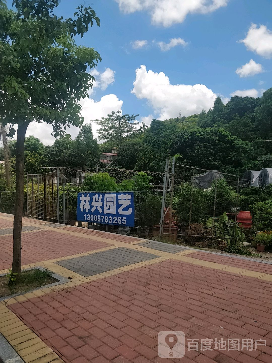 林兴园艺