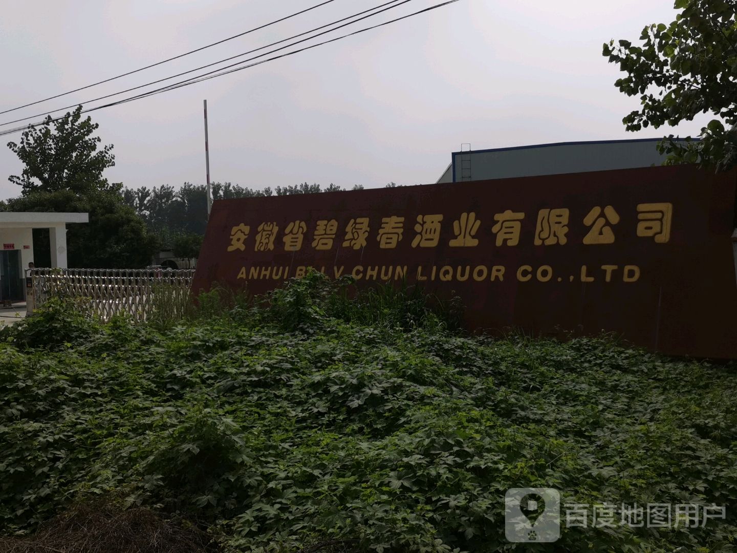 碧绿春店业