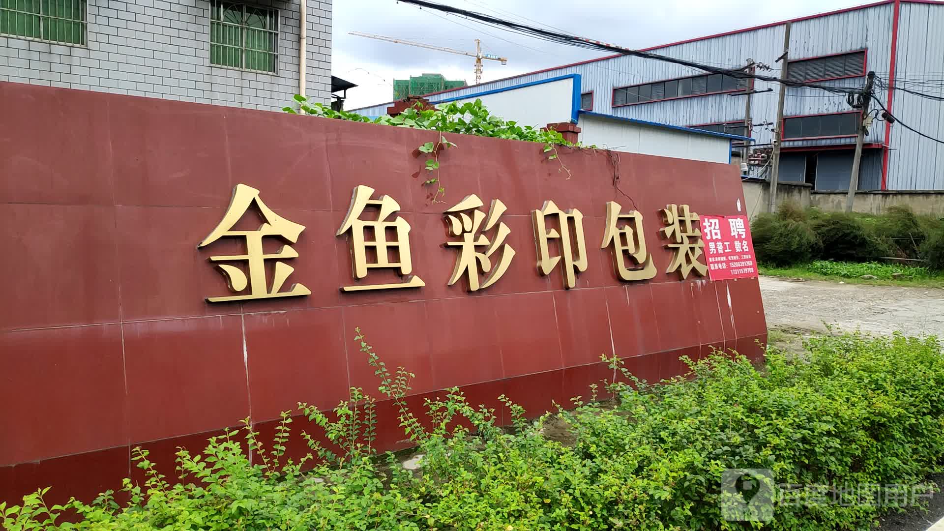 广汉市金鱼彩印包装有限责任公司