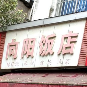 向阳返点