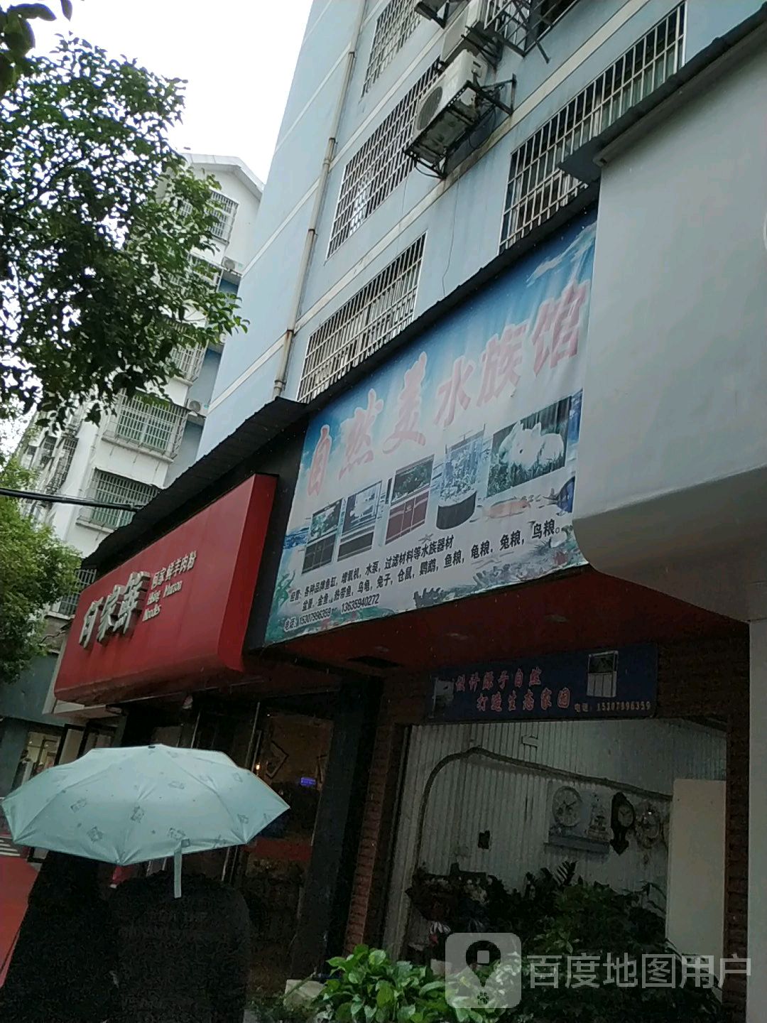 区自然美水族馆