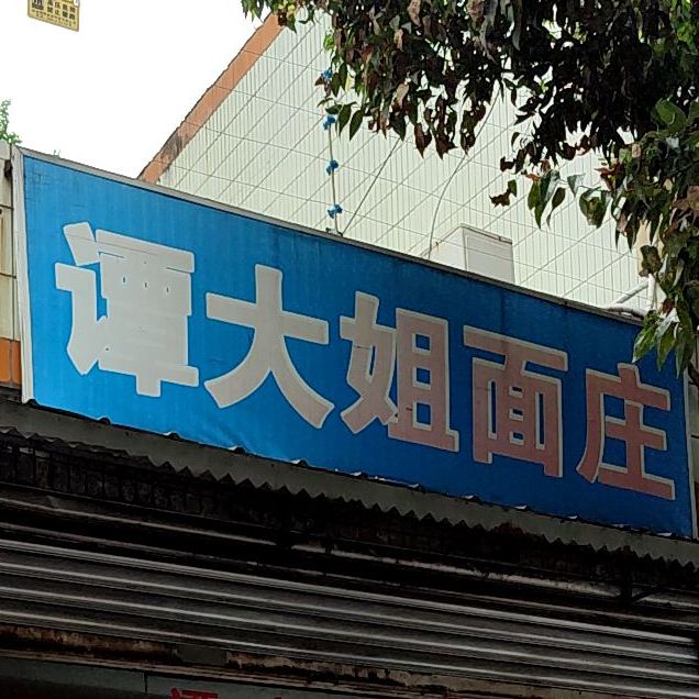 谭大姐面桩