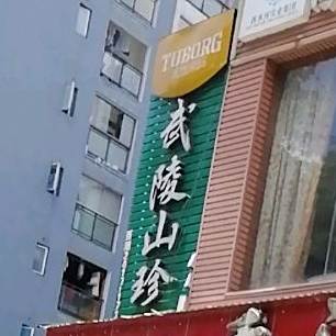 武陵山珍(黔龙桃源新都会店)