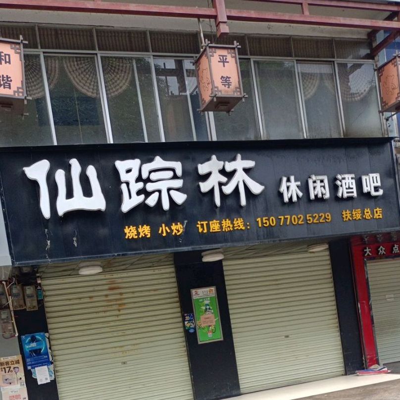 仙踪林休闲酒吧(扶绥总店)