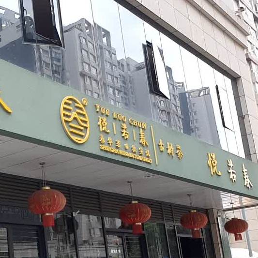 悦若春古树查