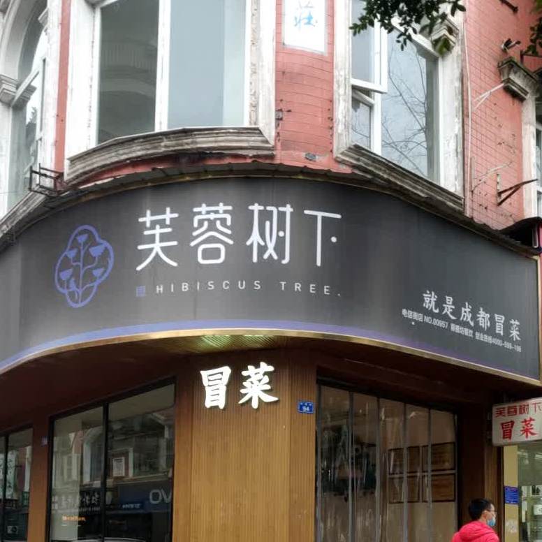 芙蓉树下冒菜电信街店