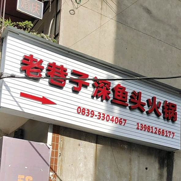 老巷子深鱼头火锅