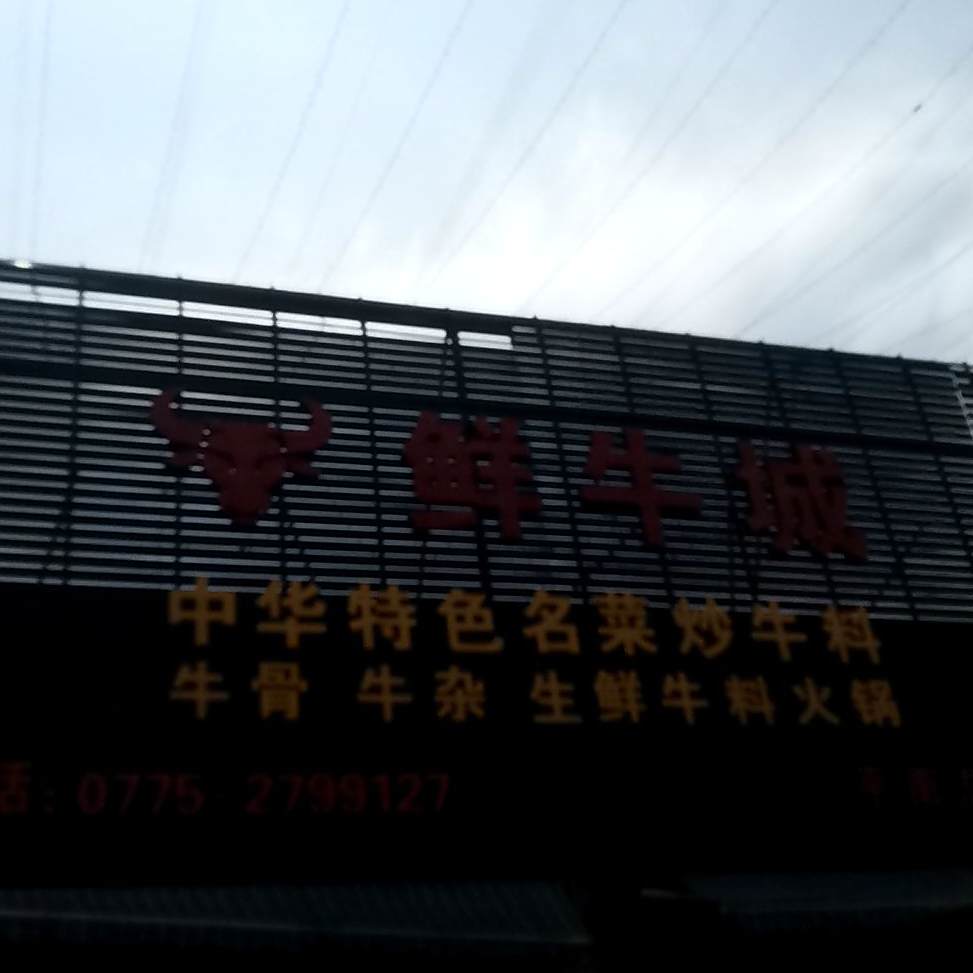 玉林鲜牛馆(平南总店)