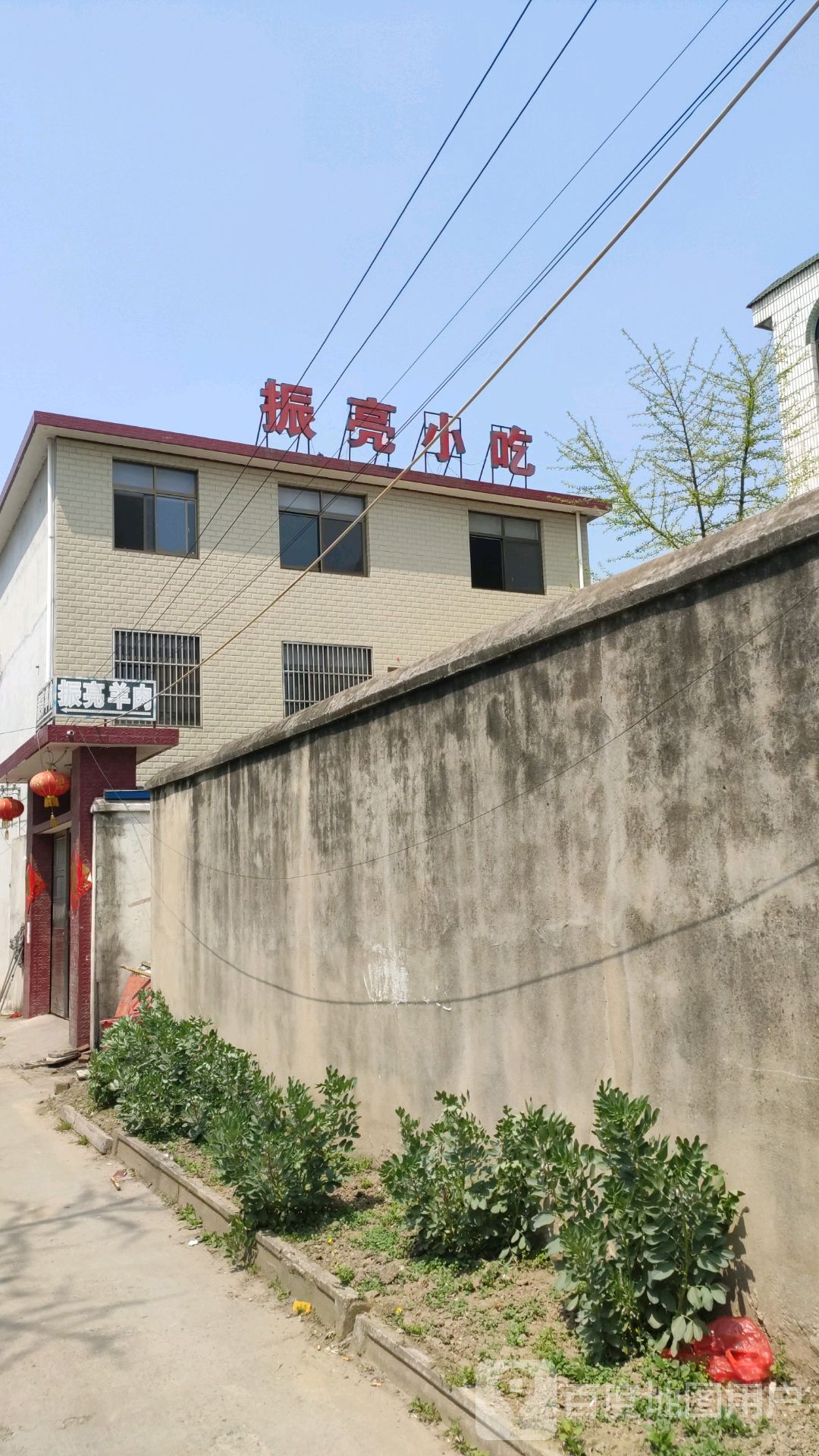 振亮d小