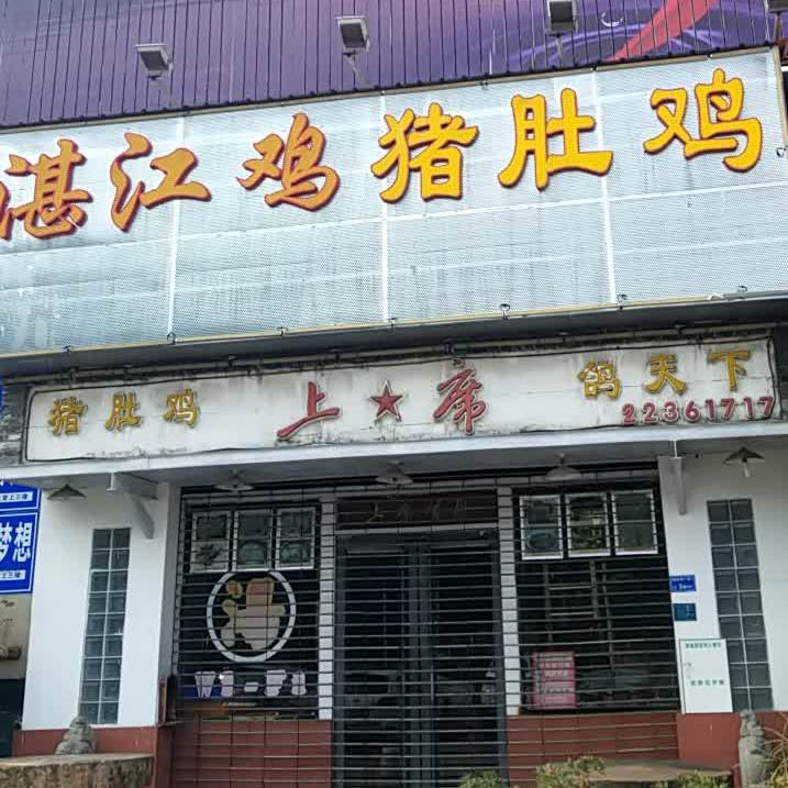 湛江鸡猪肚鸡(新世界广场B区店)
