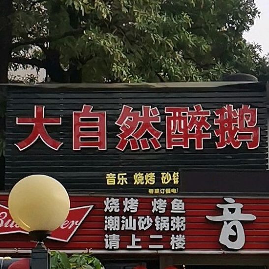 大自然醉鹅(华明路店)