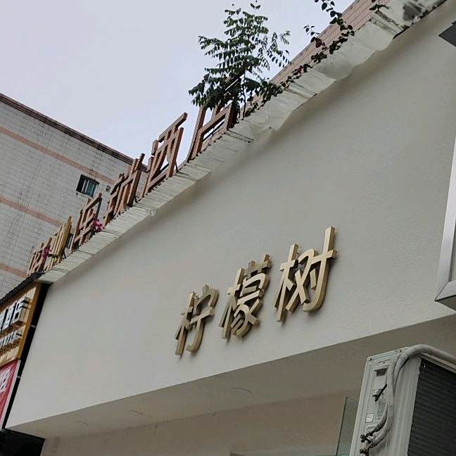 柠檬酒(玉屏街店)