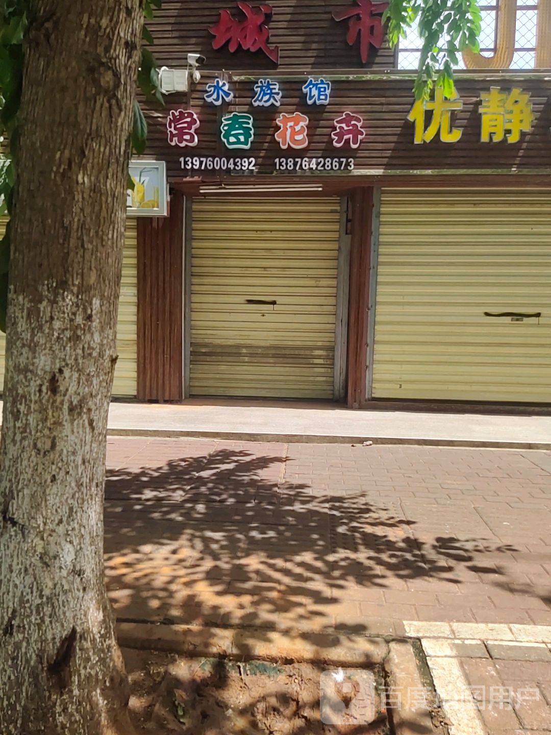常春花卉·水族馆(金盘夜市店)