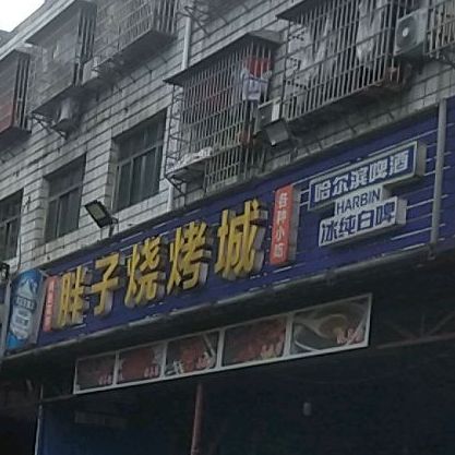 胖子烧烤城(团圆南路店)