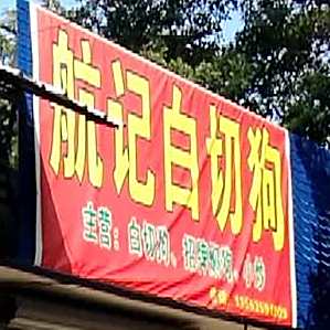 航记白切狗