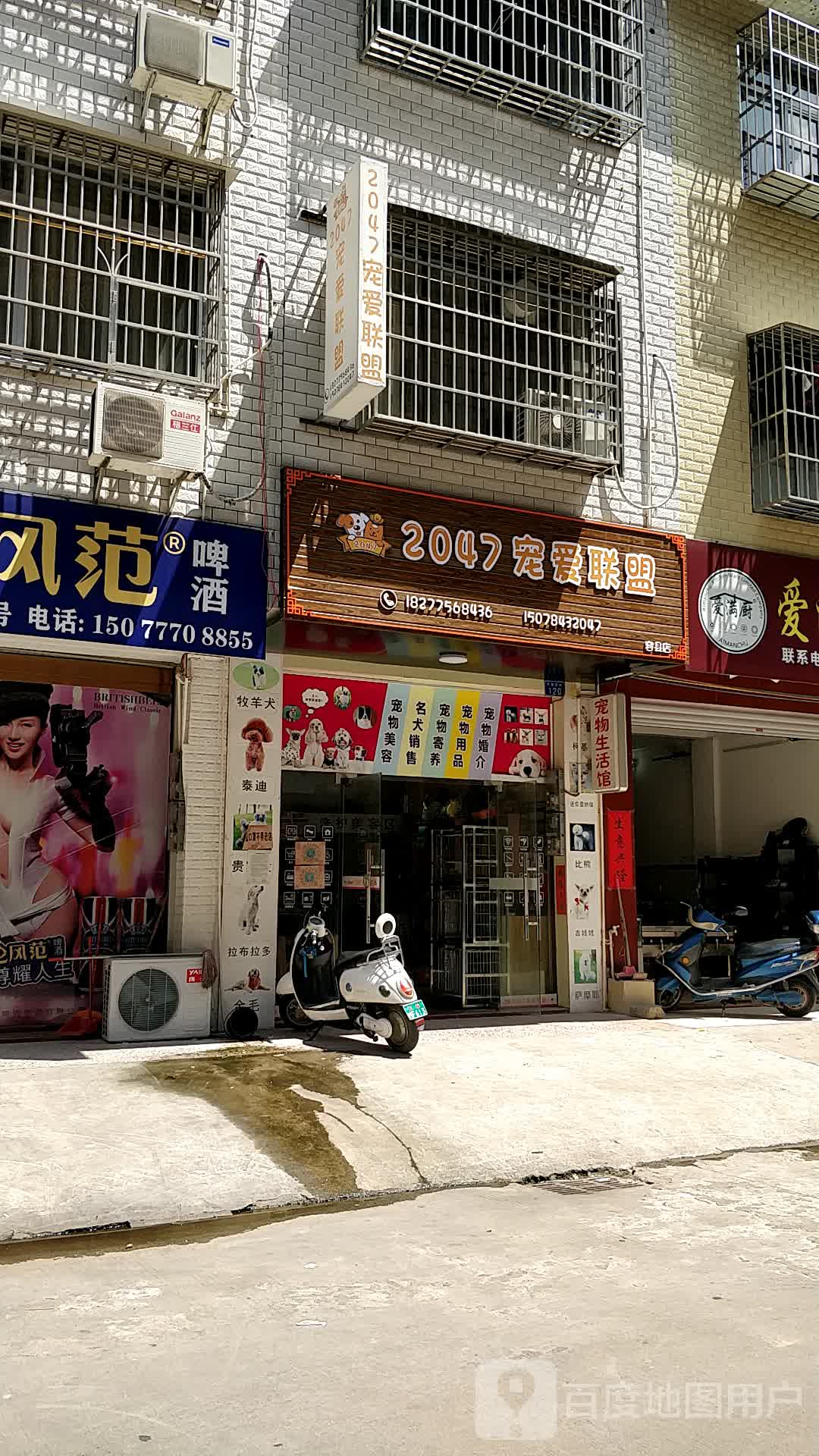 2047宠爱联盟(容县店)