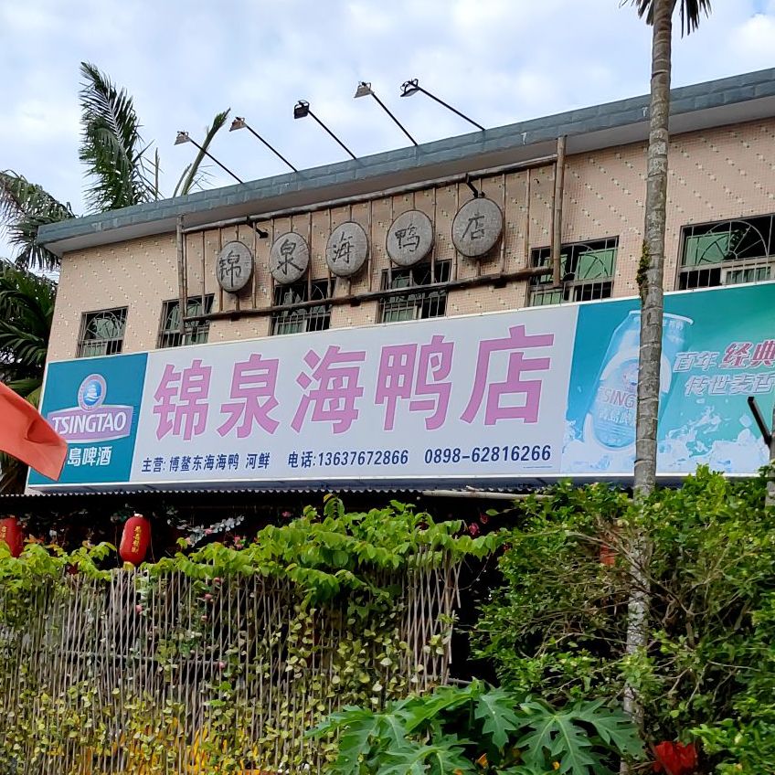 锦泉海鸭店