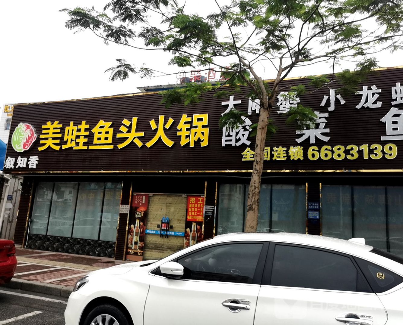 叙知香美蛙鱼头火锅(广富路店)