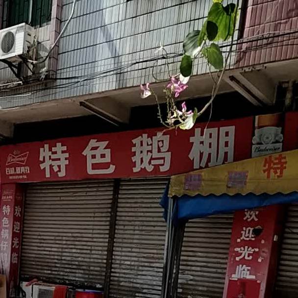特色鹅棚饮食