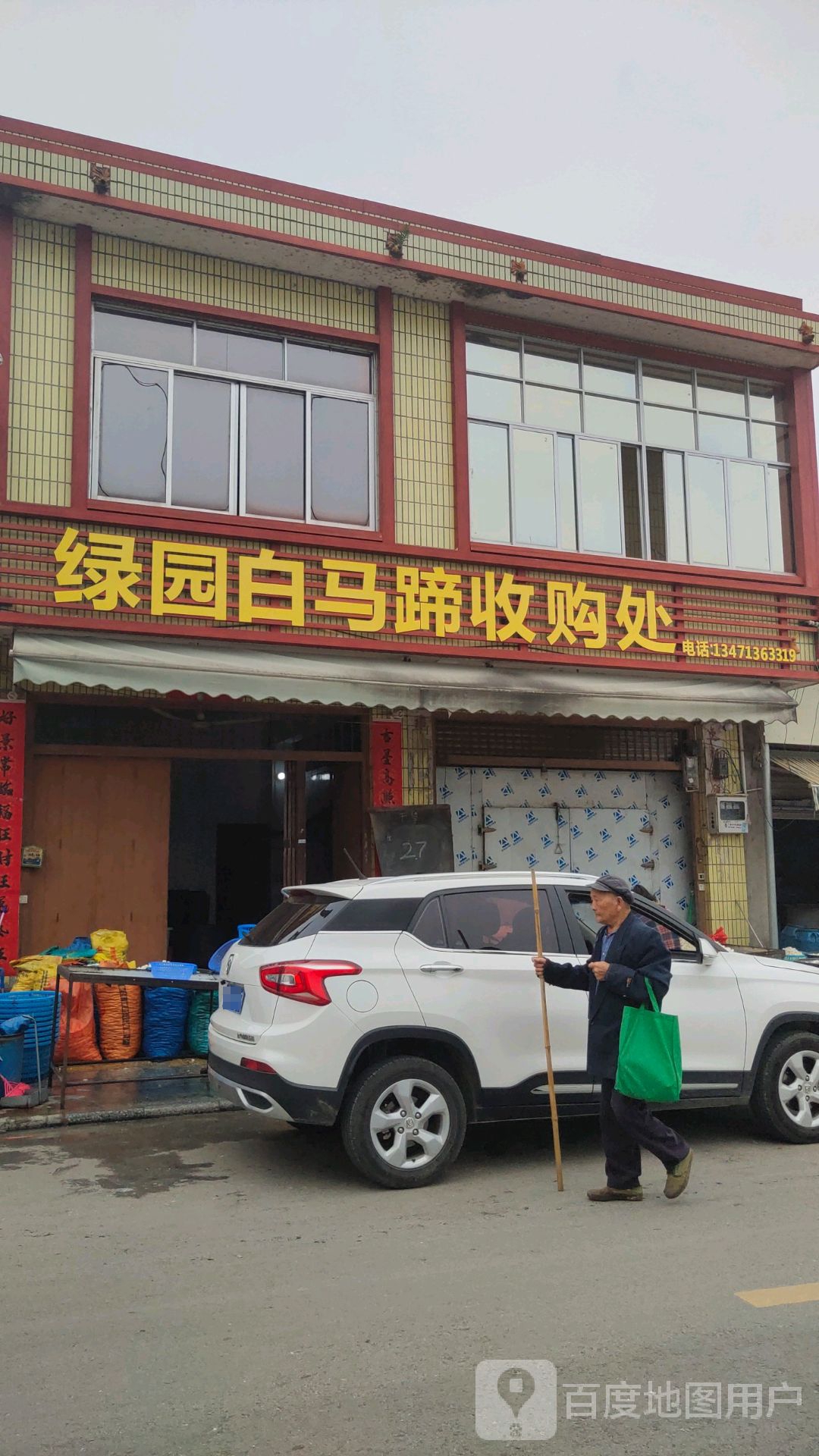 绿园白马蹄收购处