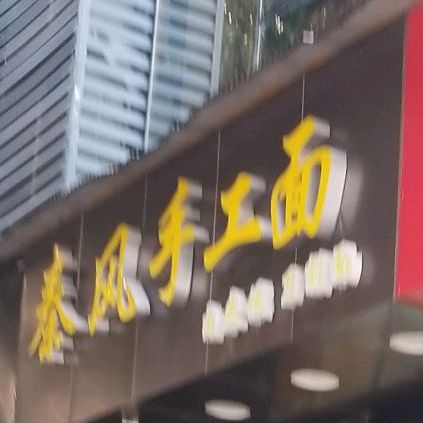 秦风手工面