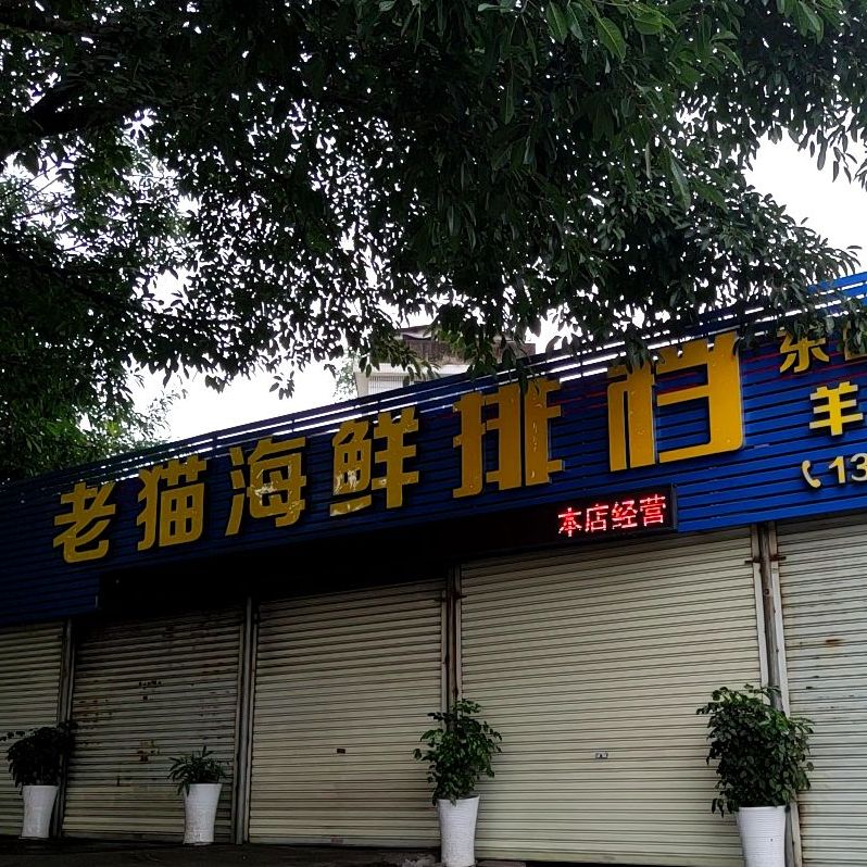 老猫海鲜大排档