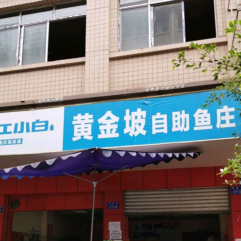 黄金坡村自鱼庄
