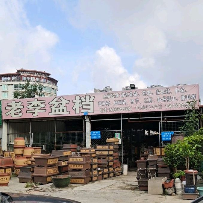 老李盆档