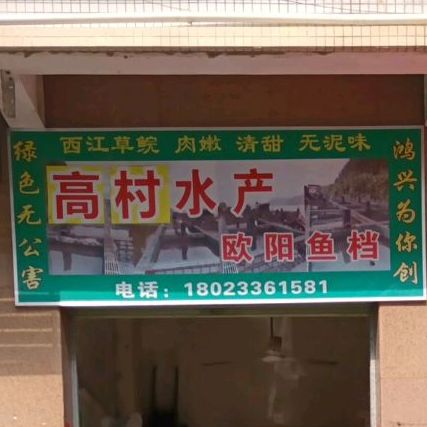 鸿兴水产欧阳鱼档(金山店)