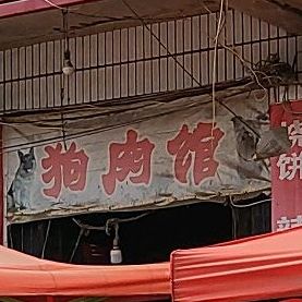 狗肉