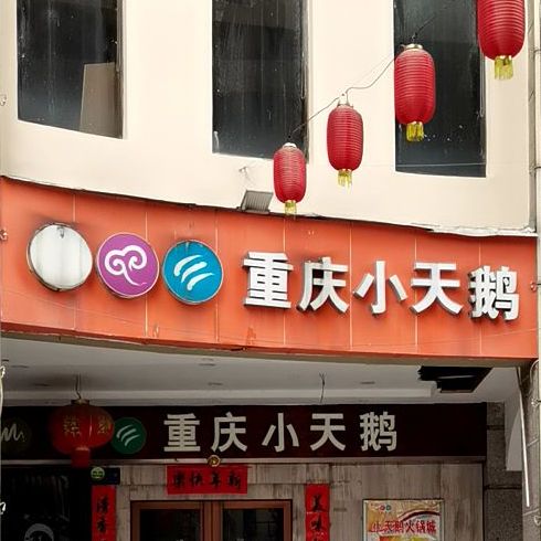 重庆市小天鹅(赤壁店)