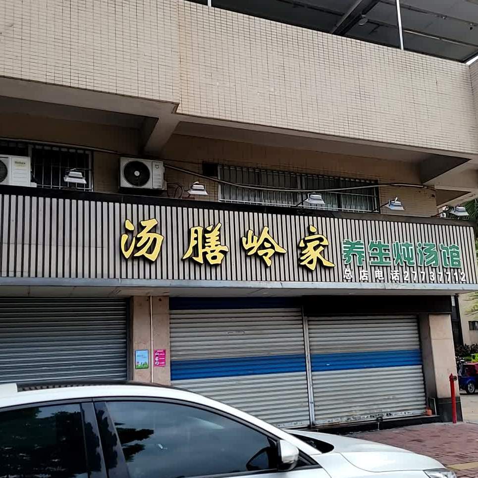 汤膳岭家养生炖汤馆(总店)