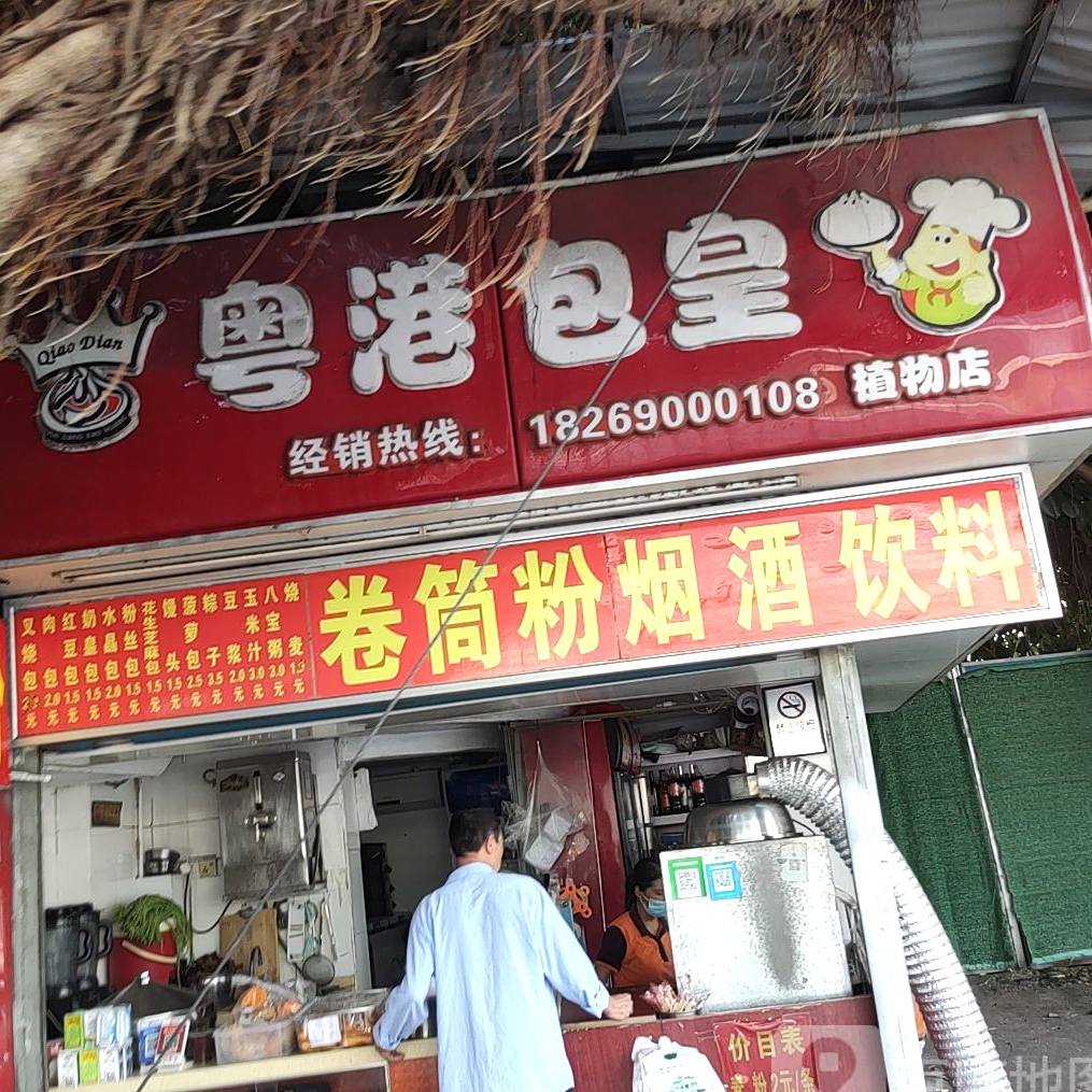 粤港包皇(植物店)
