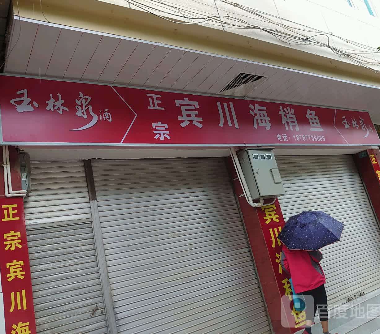 正宗宾穿海梢鱼