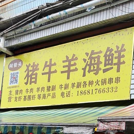 何骨头猪牛羊海先