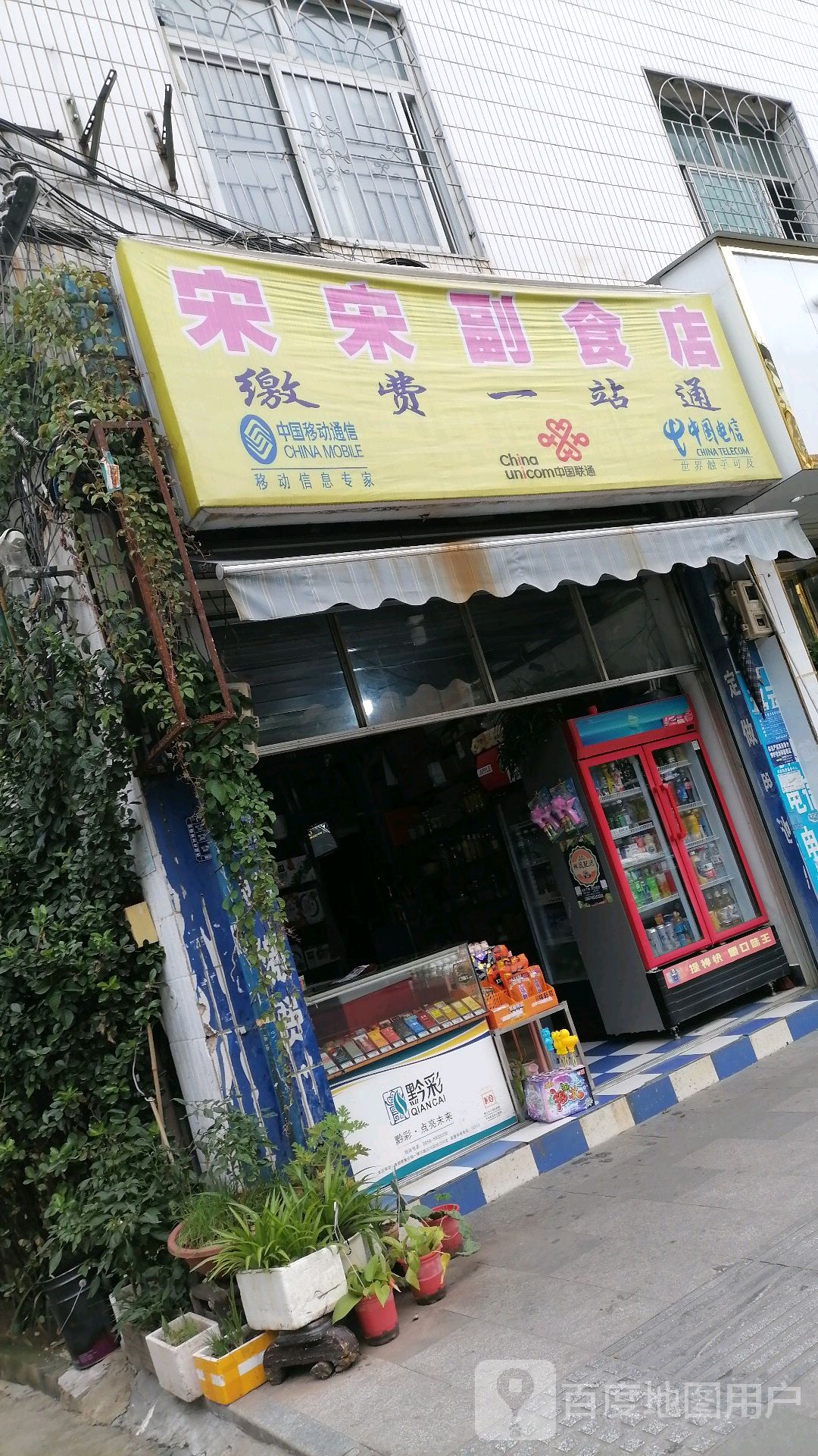 宋宋副食店