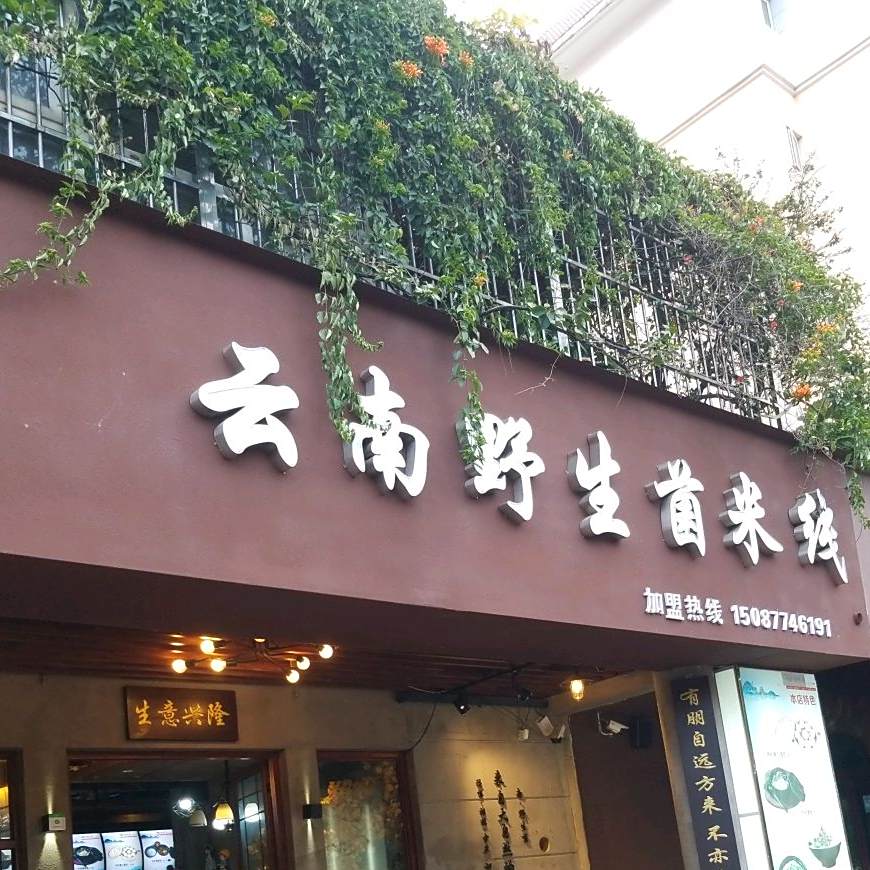 云南野生菌米线