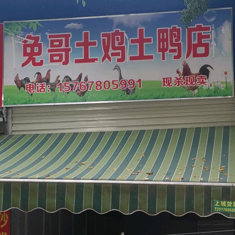 兔哥突击土鸭店