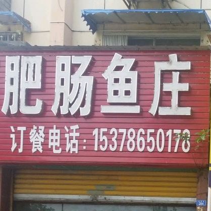 高师肥肠鸡庄