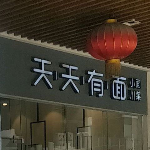 天天有面