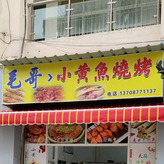 毛哥小黄鱼