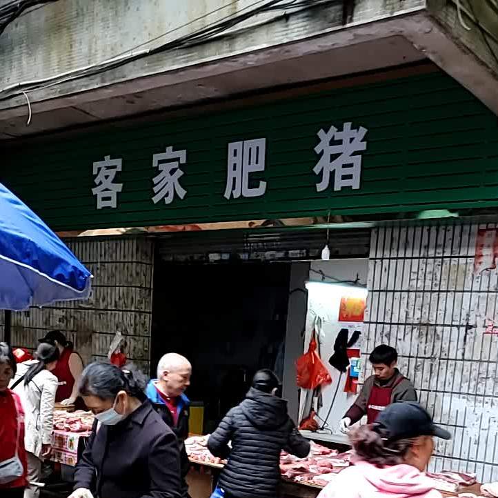 客家肥猪