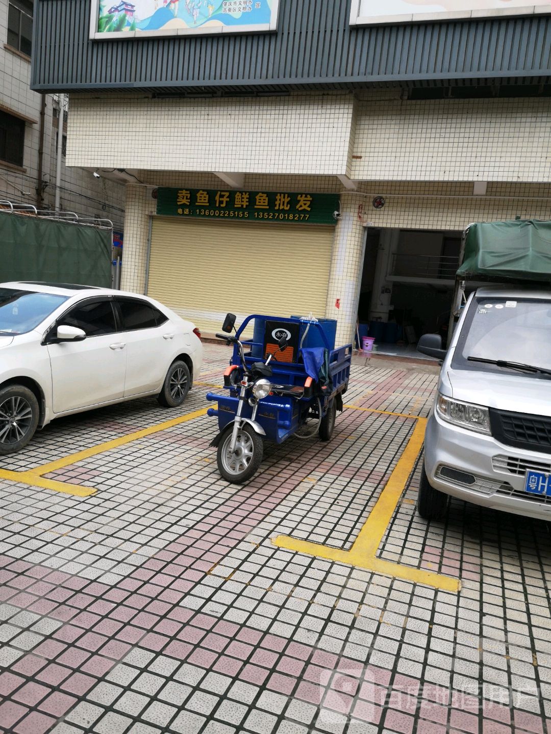 卖鱼仔鲜鱼批发(乐添大厦店)