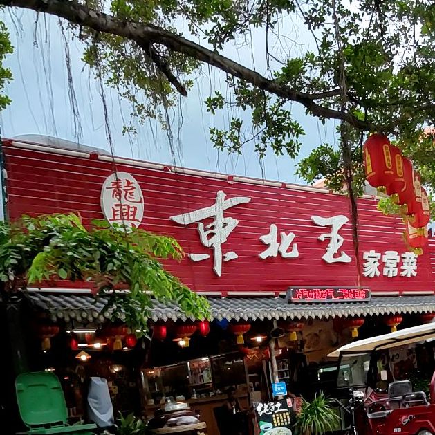 龙兴东北王家常菜(兴隆店)