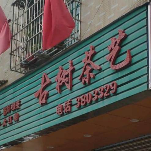 古树茶艺