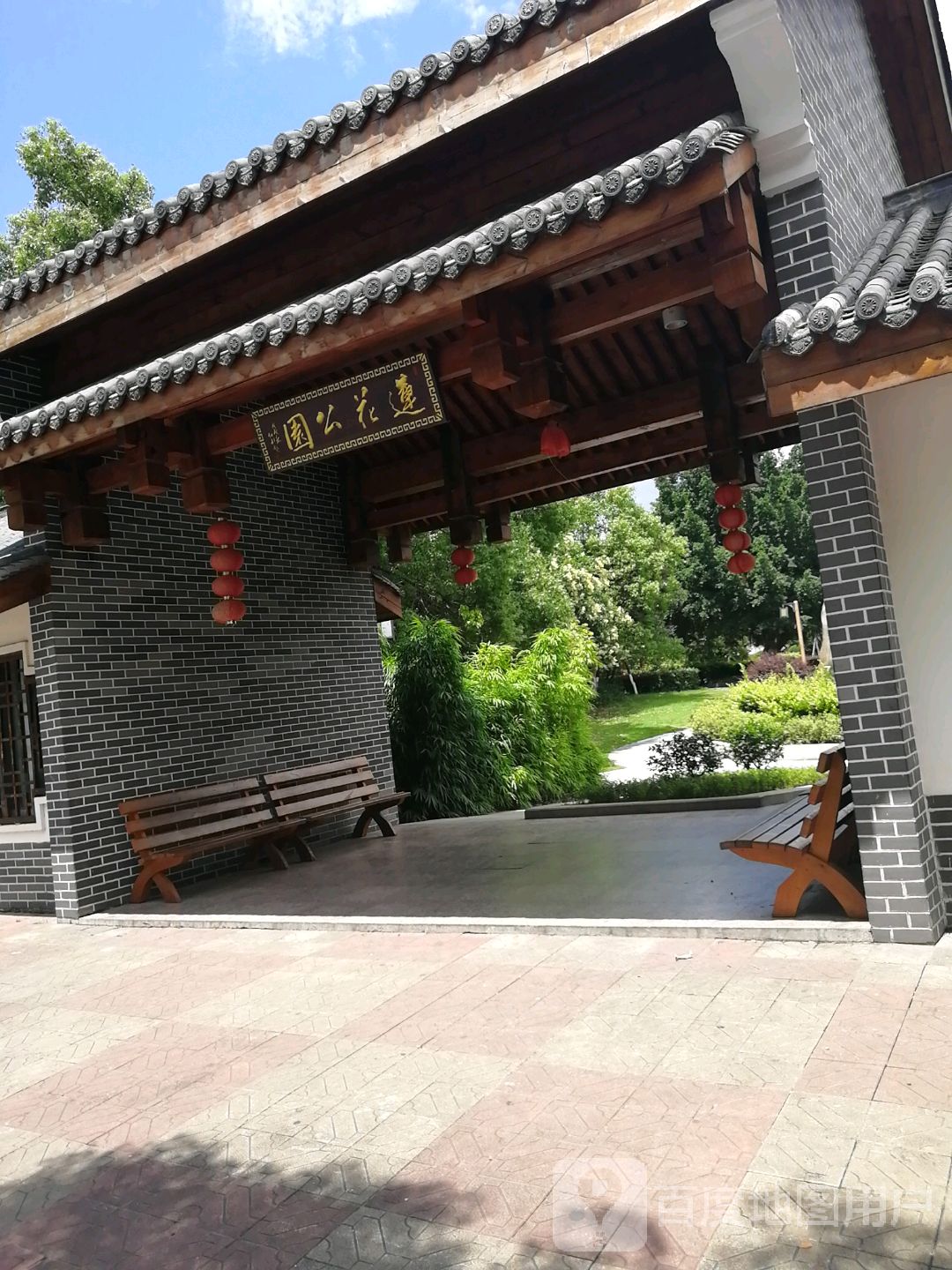 莲花公园