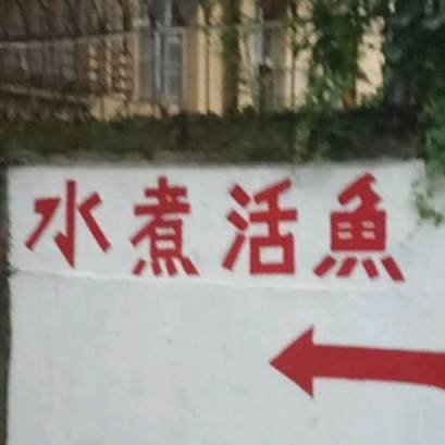 95水煮活鱼(城门街店)